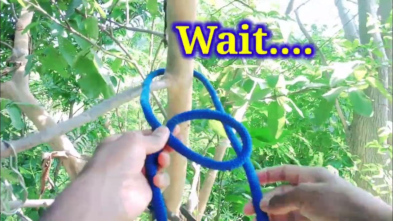 How to make rope knots indian 🇮🇳🇮🇳knots skill IndianRopeknots YouTube