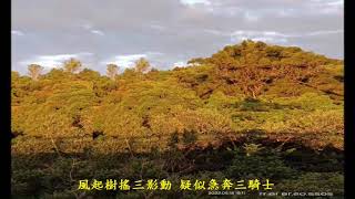 【養生村長輩自製影片分享】養生村前長庚橋,橋上散步來三老