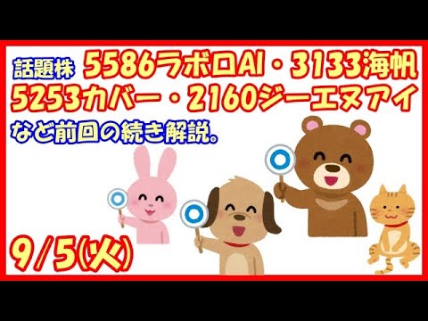 話題株5586ラボロAI・3133海帆・5253カバー・2160ジーエヌアイなど前回の続き解説。(2023/9/5)