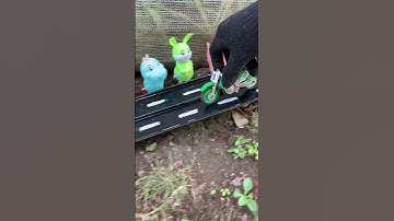 Hunting Jumping motocross heroes 41 #car  #trending #shortvideo