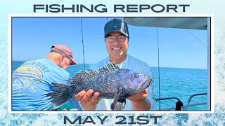 New Jersey Fishing Report May 21st #fishingreport #surffishing #flounder #stripedbass 
