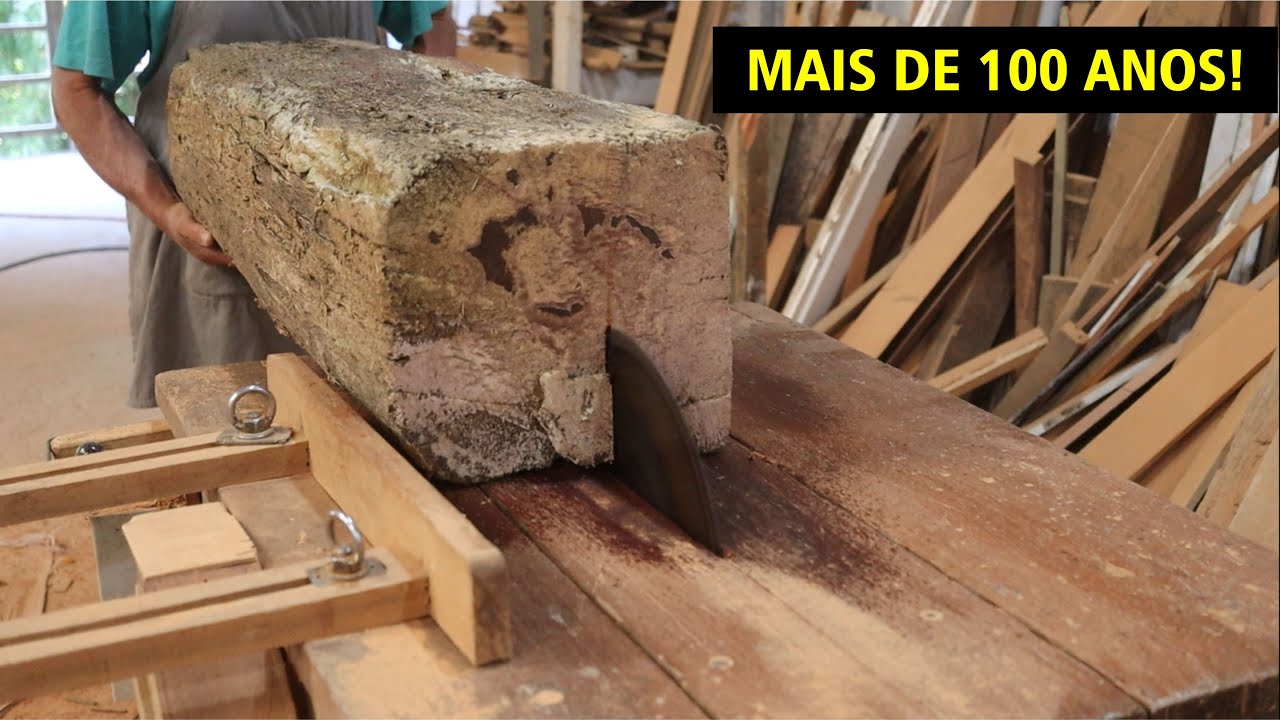 UM TRONCO ENORME E CENTENARIO DE AMOREIRA SAIU UMA BELA MESA