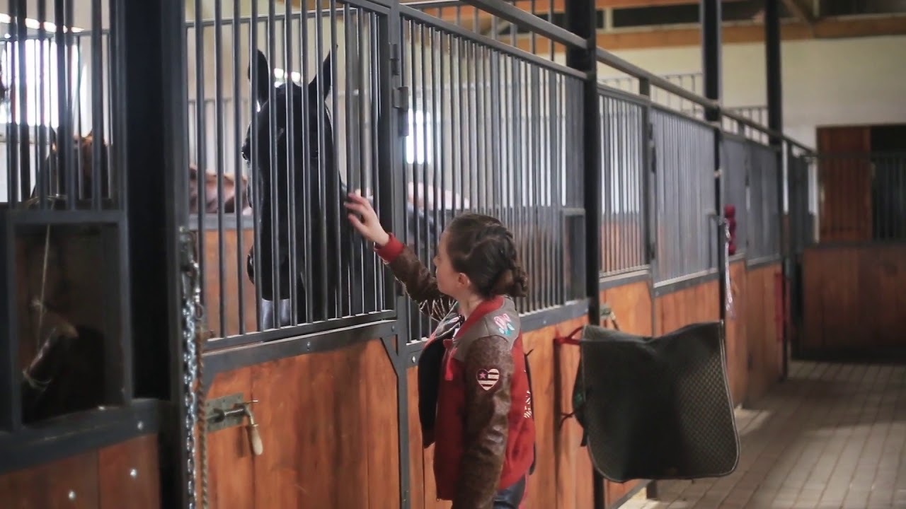 girl stand stroge brown horse in a stable play funny hobby farm