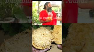 Baba Ramdev BEL sharbat recipe #healthy #recipe #ytshorts #viral #ayurvedic#trending 👌🤤👍😋👌