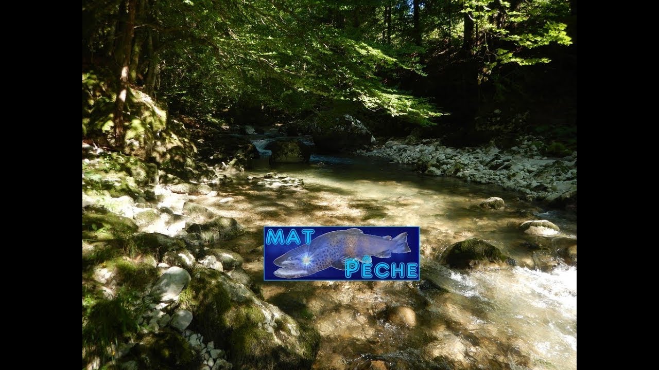 Pêche à la mouche sèche en petite rivière - Isère