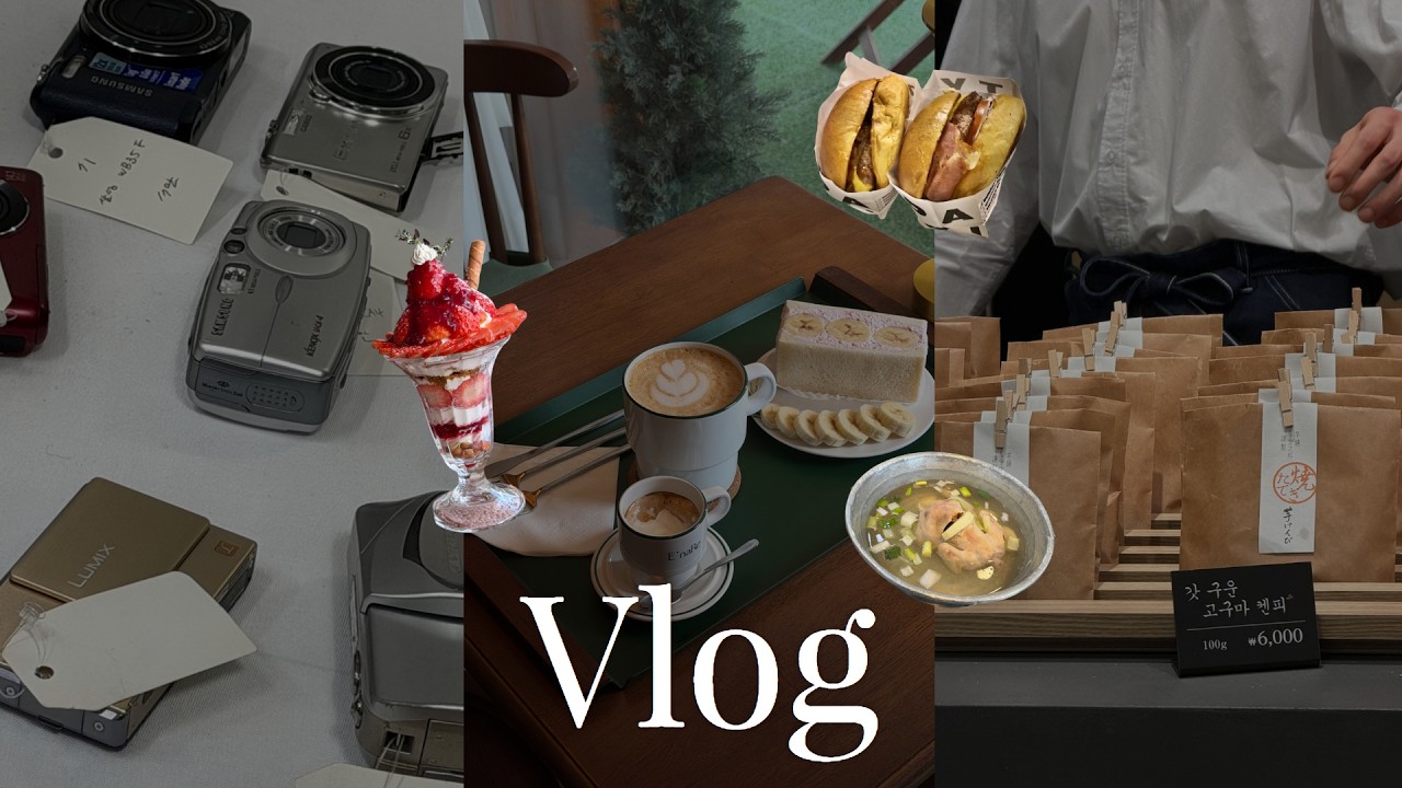 1월 모음 zipㅣ세운상가로 빈티지 디카 보러가기📷ㅣ하루에 후르츠산도랑 파르페만 2번 조지는 브이로그ㅣ진옥화원조닭한마리ㅣ죠지서울