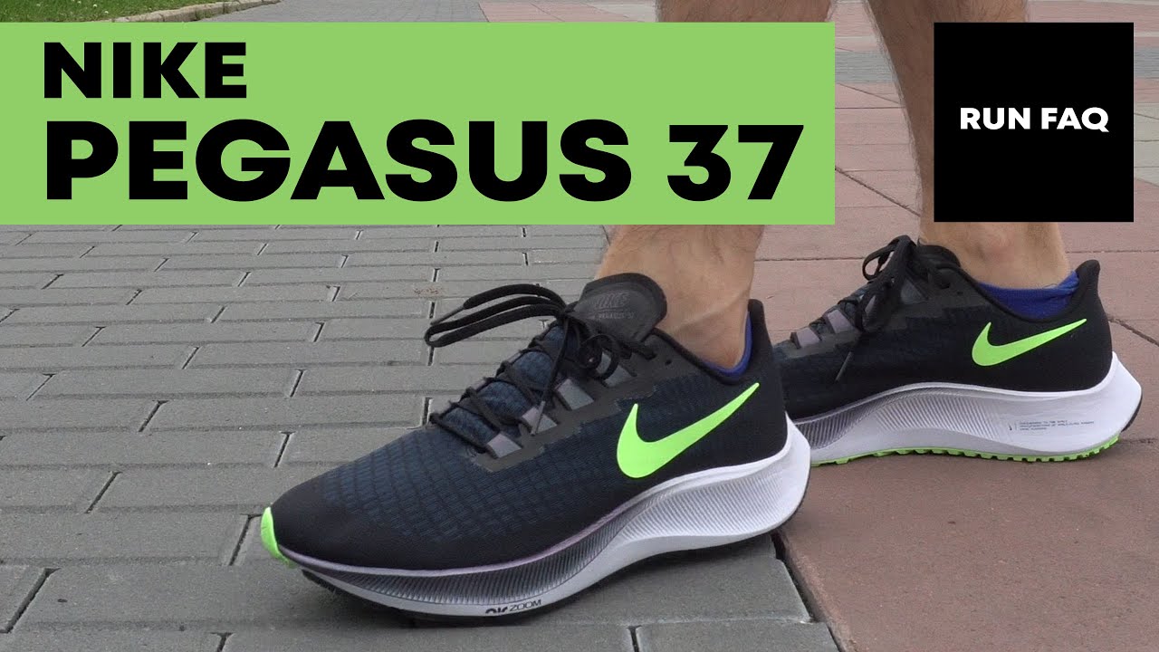 nike pegasus 37 gore tex