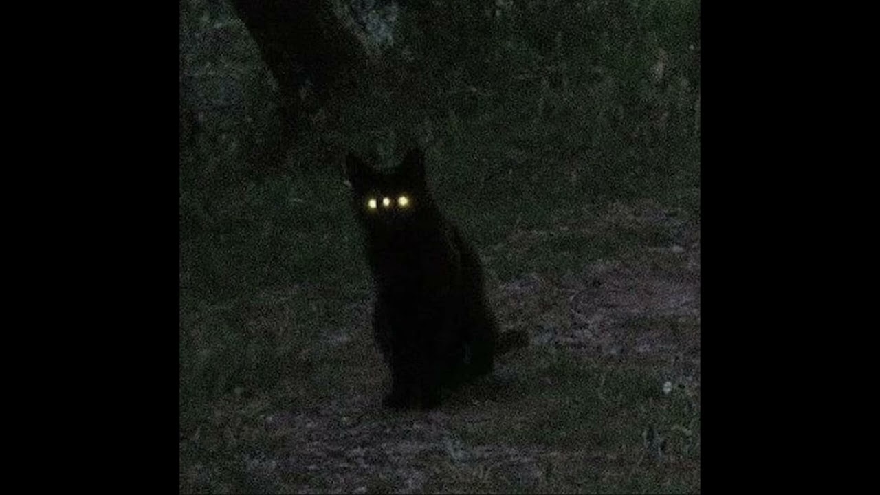 не слушайте это 122/365 