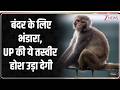 UP News : बंदर के लिए भंडारा, UP की ये तस्वीर होश उड़ा देगी I ZEE News