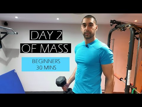 workout-for-skinny-guys-at-home-(day-2-of-mass)