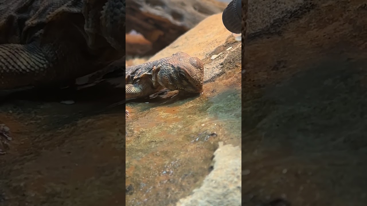 День 1 против дня 100: Трансформация