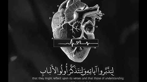 كتاب أنزلناه إليك مبارك ليدبروا آياته   اسلام صبحي Islam  Sobhi   حالات واتس أب دينية2