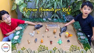 African Animal Muddy Adventure: Fun Learning with Zayan & Rayan! | Animals Sandbox