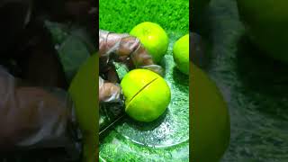 Persian Lime Cutting