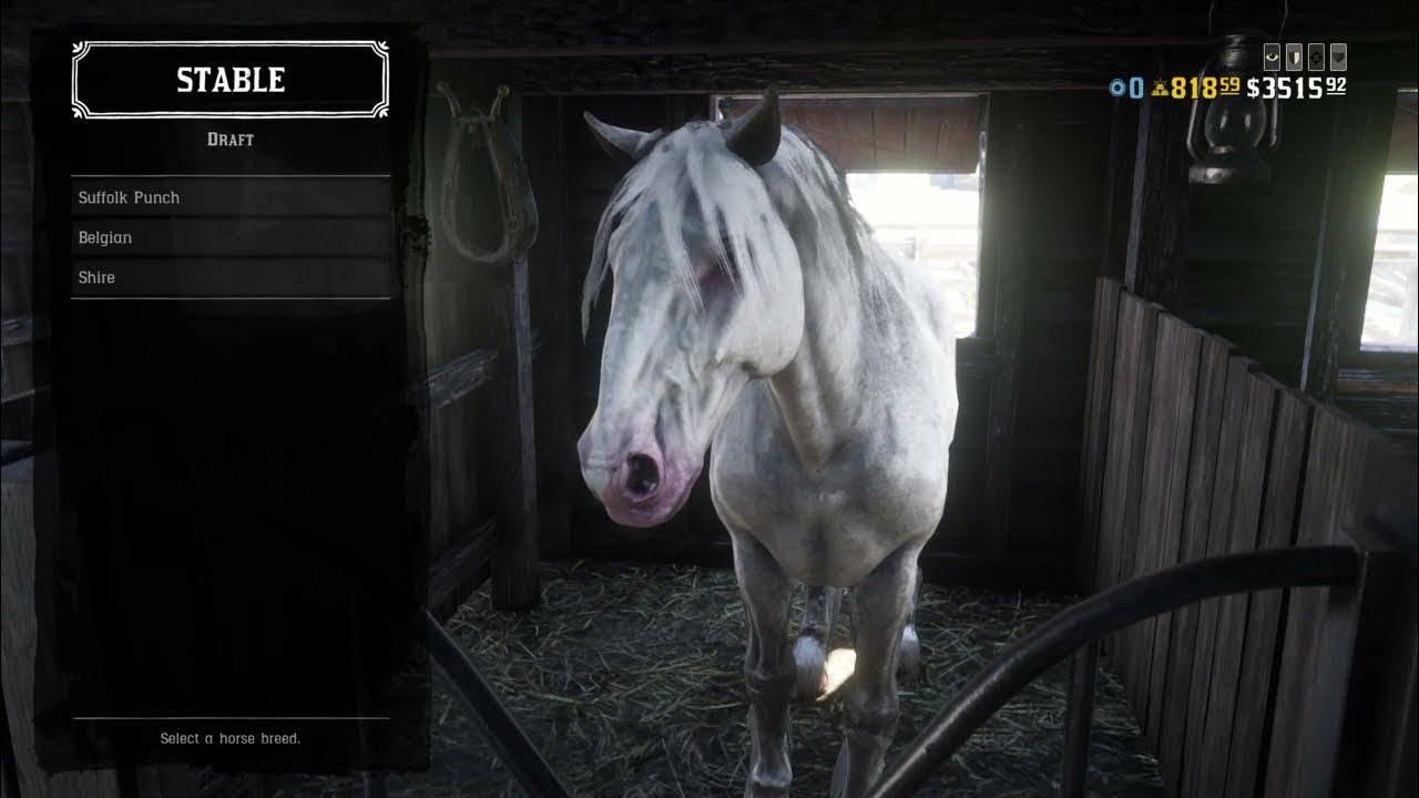 Red Dead online all horse breeds and coat colours YouTube