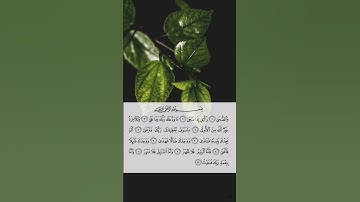 سورة الضحى - ياسر الدوسري 🌺