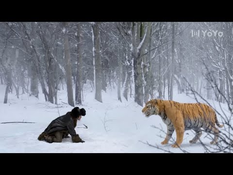 猛虎來襲，功夫小子赤手空拳實力打虎 ⚔️ 抗日 【林海雪原】