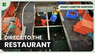 From the Sea to the Plate - Giant Lobster Hunters - Documentary