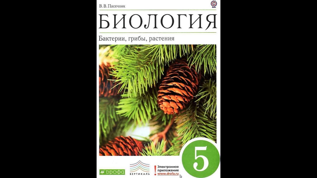 Биология 5 класс пасечник фото Биология 5 класс. Бактерии, грибы, растения. Пасечник В.В. Параграф 8. - YouTube