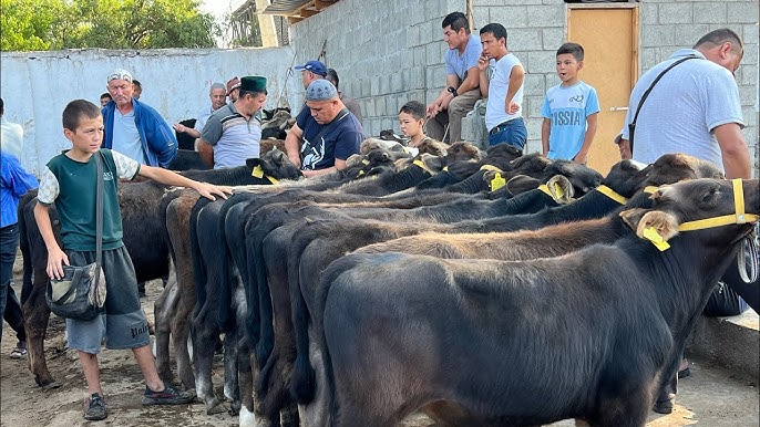 Jinsiy olatni qin chizmalarida Ozbek kampirlar pornosi