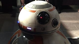 Meeting BB-8 from Star Wars The Force Awakens!