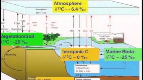 PAGES OSM 2009 - Session 4.1 - Joos