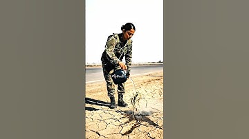 Lady soldier planted a guava tree and saved it from drying by watering it 😭 #ai  #tree #guava