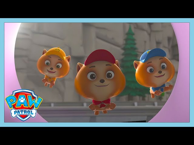 Jr Patroller The Junior Patrollers Saved The Day! | Paw Patrol | WildBrain Kids ...