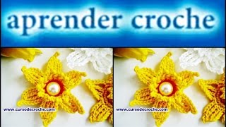 FLORES EM CROCHE NARCISO SILVESTRE –  Edinir- Croche