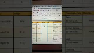How to use the excel accountability tracker
