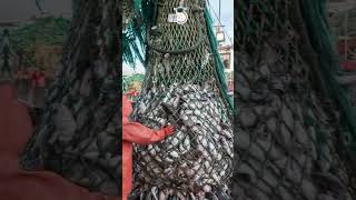 Grand Bank Map In Short Amrit Upadhyay Upsc 2024 Studyiq Ias Hindi