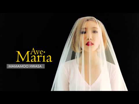 화사 (+) Ave Maria