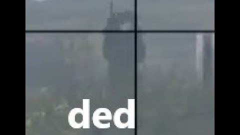 Clean B95 Kill in Dayz