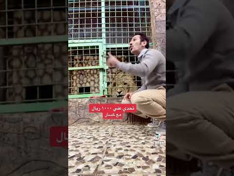 تأمل كيف يخاف الاسد من زوجته