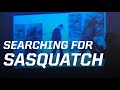 Searching for Sasquatch: Cryptozoology and the Science & Folklore of Hidden Animals | Thom Powell