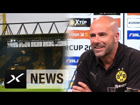 Peter Bosz: 