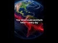 Human Blood Circulation is a wonder