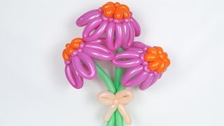 Flower Echinacea of ​​balloons