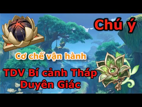 Video Cơ chế hoạt động của Giấc mộng hoàng kim và Ký ức rừng... - youtube