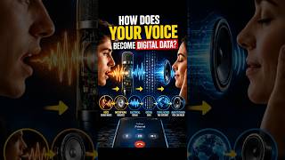 How does your voice become digital data @SimplyHowTech  #internet #tutorial #techmadesimple