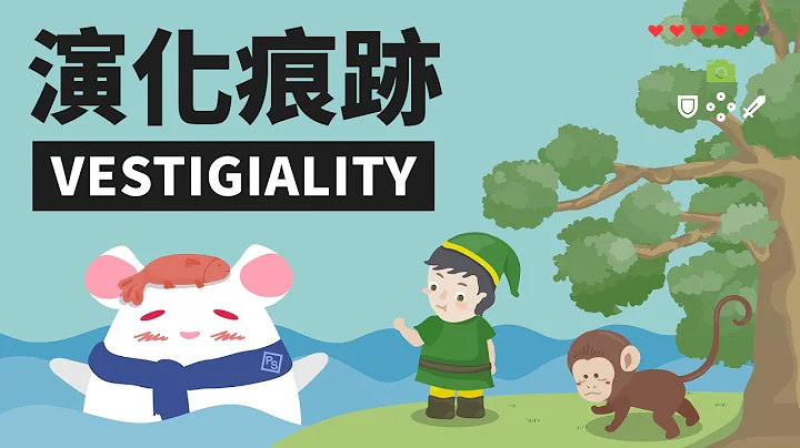 近在眼前却看不到？那些演化的不完美！｜可能性调查署 - 天天要闻