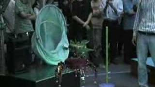 Hexapod Robot does the limbo