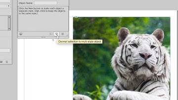Adobe InDesign   interactive PDF and HTML   part 19 720   Thierry Dambermont