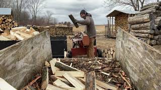 Splitting silver maple rounds into firewood Net Worth