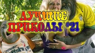 ЛУЧШИЕ ПРИКОЛЫ. Приколы для взрослых 18+. МАЙ #21 2017