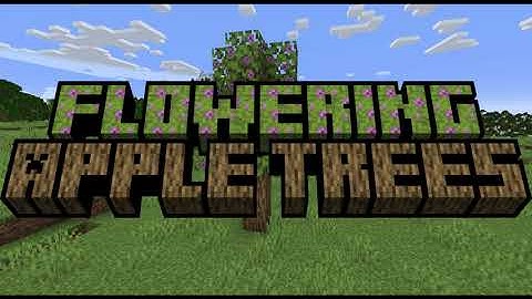 Flowering Apple Trees