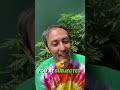 How To Grow Plants Faster | #shorts