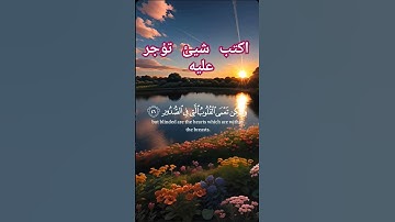 تلاوه خاشعه ياسر الدوسري #اكسبلور #لايك #تيك_توك #500subs #راحة_نفسية
