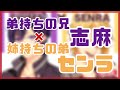 志麻センってきょうだい喧嘩してた?【浦島坂田船】