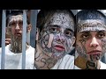 'Uno no siente remordimiento de nada': ENTREVISTA COMPLETA. Mp3 Song